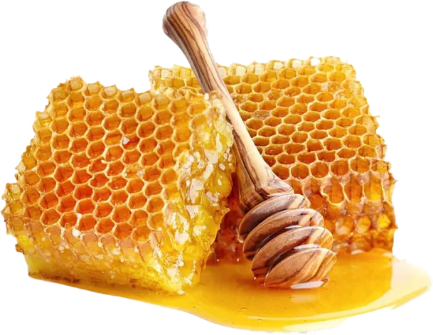 Glucose oxidase enzyme ingredient in Synadentix for natural antibacterial oral defense