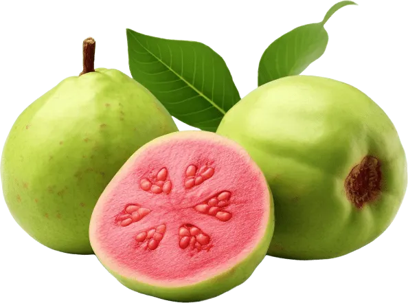 Guava fruit powder ingredient in Synadentix for natural antibacterial oral wellness